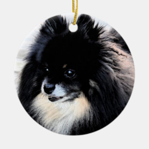 Ornamento negro y del moreno de Pomeranian