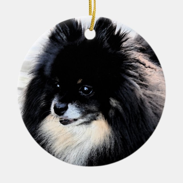 Ornamento negro y del moreno de Pomeranian (Frente)