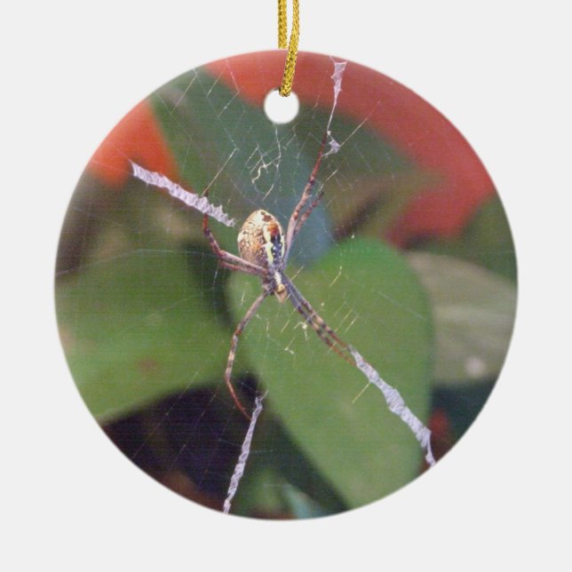 Ornamento Orb Spider (Frente)