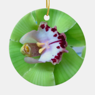 Ornamento Orquídea Verde
