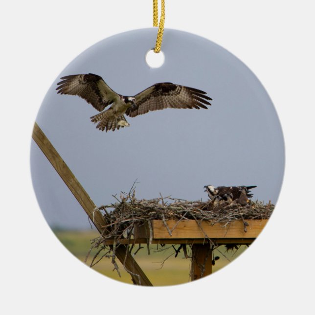 Ornamento Osprey Bird Nest (Frente)