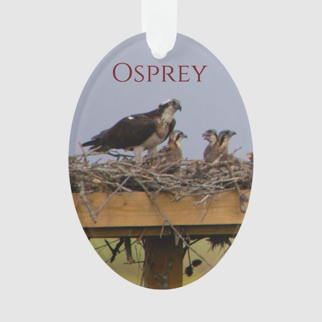 Ornamento Osprey Bird Nest (Anverso)