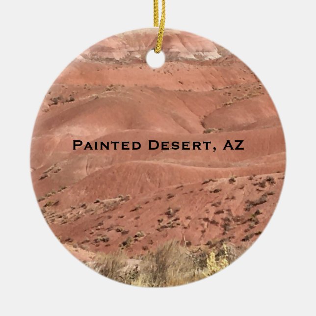 Ornamento paisajístico del desierto de Arizona pin (Frente)
