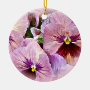 Ornamento Pansy - Púrpura Rosa - Todas Las Ocasion