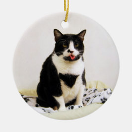Ornamento para gatos de Tuxedo