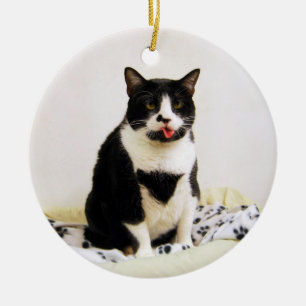 Ornamento para gatos de Tuxedo