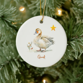 Ornamento - Pato
