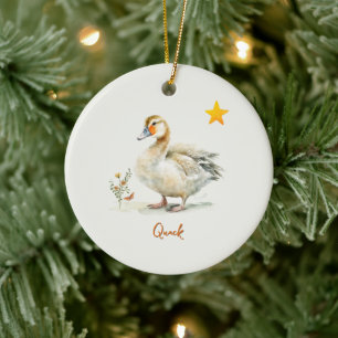 Ornamento - Pato