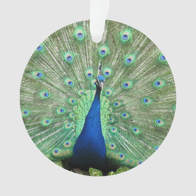 Ornamento - Peackock (Anverso)