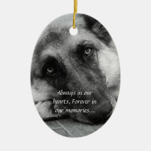 Ornamento perdido del mascota