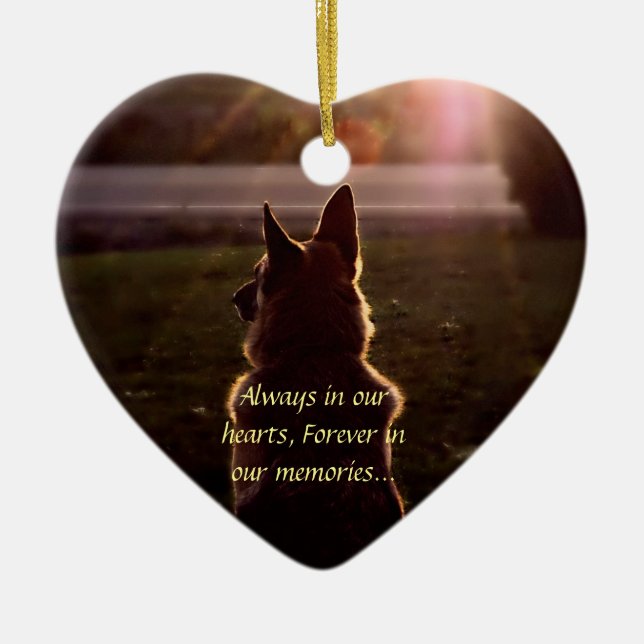 Ornamento perdido del mascota (Frente)