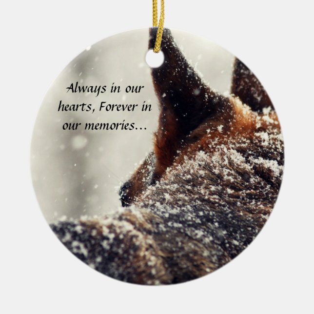 Ornamento perdido del mascota (Frente)