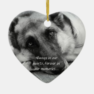 Ornamento perdido del mascota