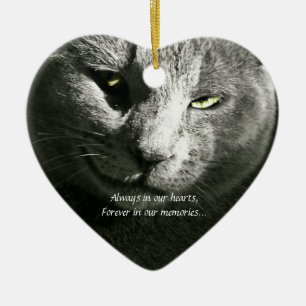 Ornamento perdido del mascota