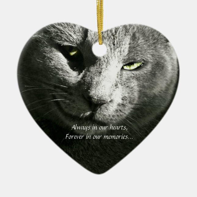 Ornamento perdido del mascota (Frente)