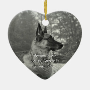 Ornamento perdido del mascota