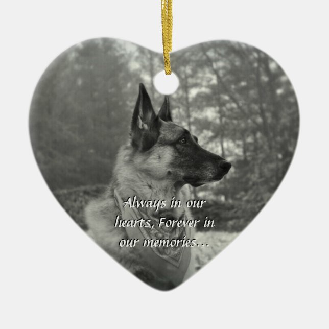 Ornamento perdido del mascota (Frente)