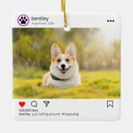 Ornamento personal de publicaciones en medios soci