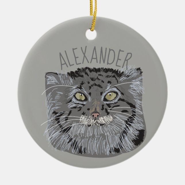Ornamento personalizado del navidad del gato de (Frente)
