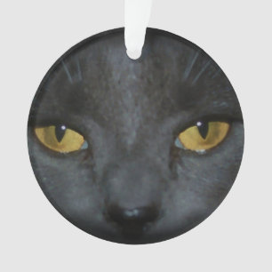 Ornamento personalizado gato gris adorable del