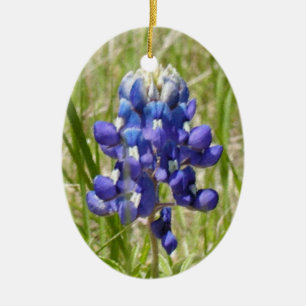 Ornamento pintado del Bluebonnet de Tejas