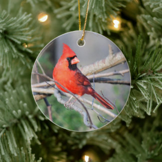 Ornamento premium del Escudo Crimson Cardinal