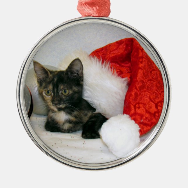 Ornamento Premium para Navidades de Holley (Gato / (Frente)