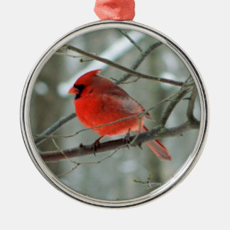 Ornamento Primario Cardinal Rojo