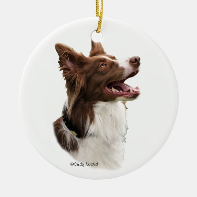 Ornamento principal del border collie rojo (Frente)