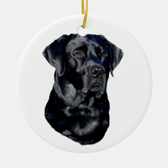 Ornamento principal del labrador retriever negro (Frente)
