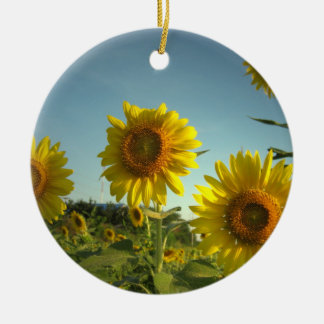 Ornamento que cultiva un huerto orgánico