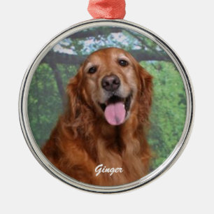 Ornamento redondeado de Ginger Golden Retriever, P