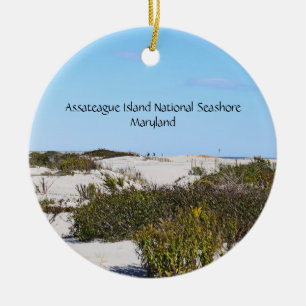 Ornamento redondo de isla de Assateague