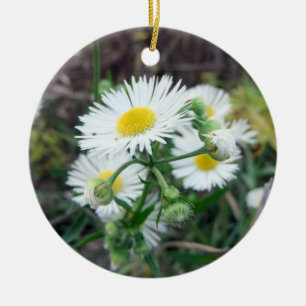 Ornamento redondo de la foto 2-Sided de Fleabane