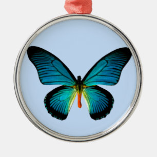 Ornamento redondo de mariposa azul
