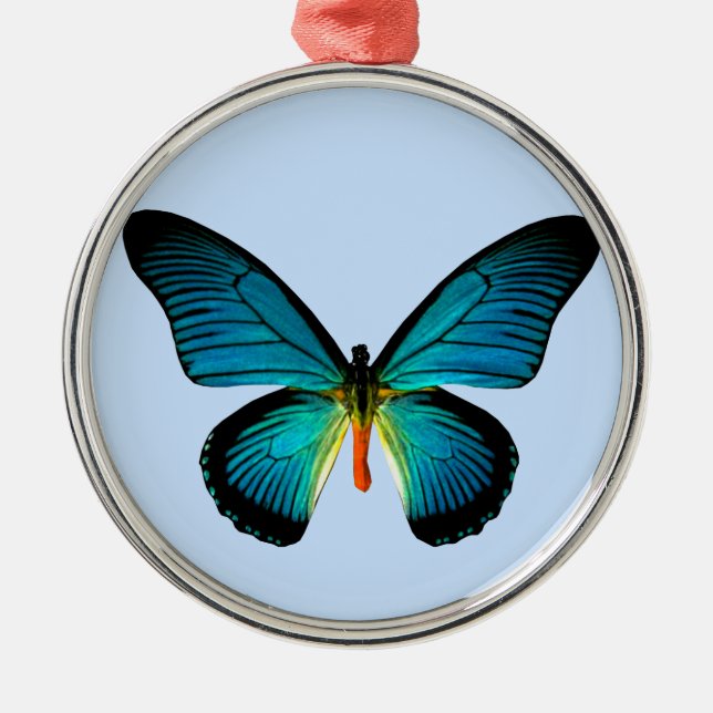 Ornamento redondo de mariposa azul (Frente)