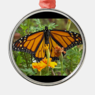 Ornamento redondo de Mi monarca mariposa premium