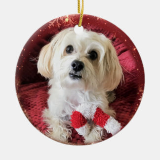 Ornamento redondo del navidad del perro de Morkie