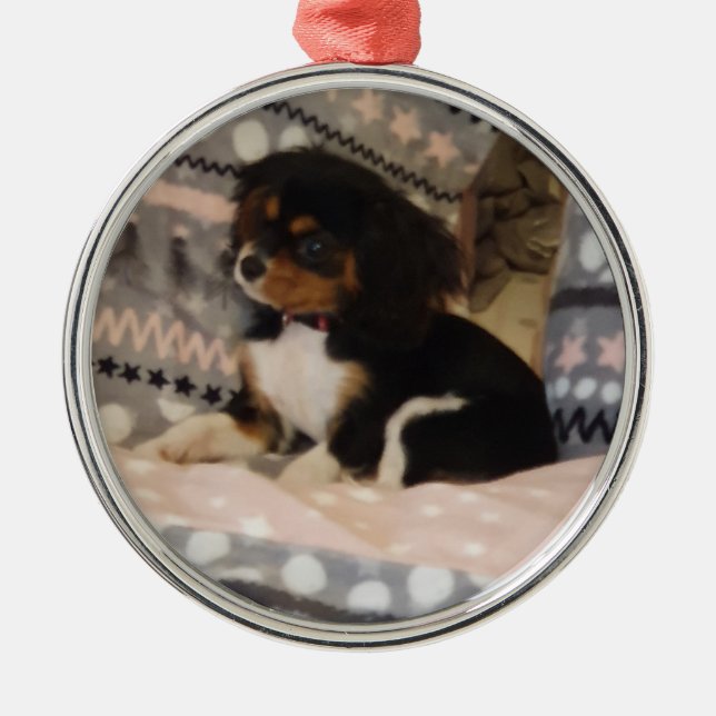 Ornamento redondo premium (Frente)