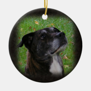 Ornamento regular del ~ del perro