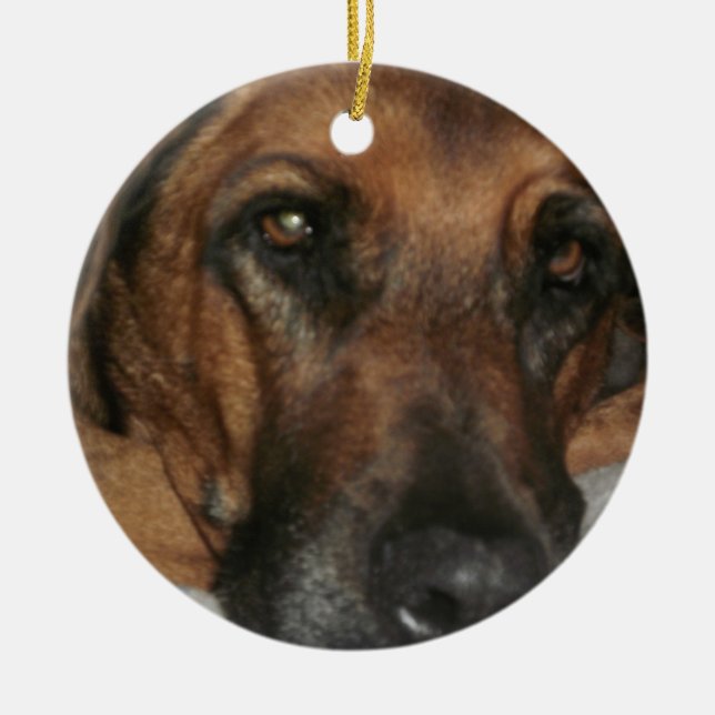 Ornamento Ridgeback Rhodesiano (Frente)