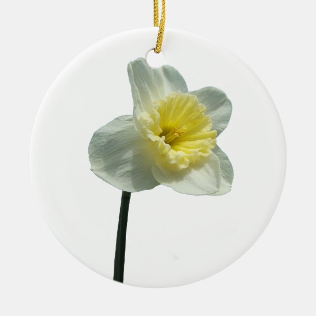 Ornamento rizado del ~ del narciso (Frente)