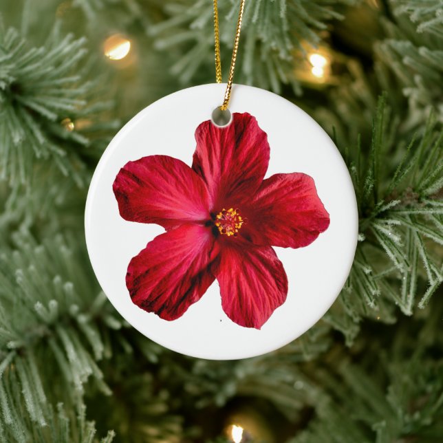 Ornamento rojo de círculo de flores de Hibiscus (Árbol)