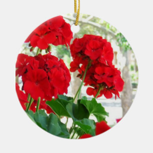 Ornamento rojo de la flor de los geranios
