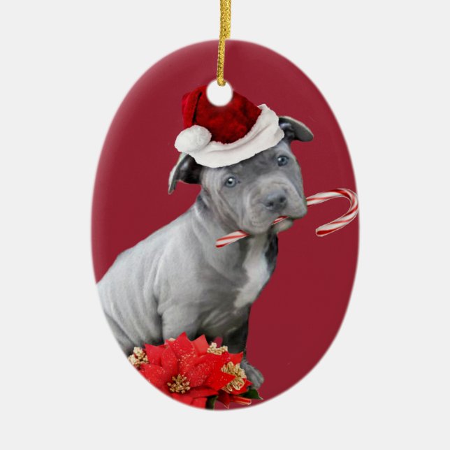Ornamento rojo del perrito del pitbull del navidad (Frente)
