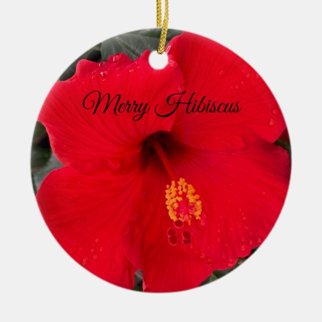 Ornamento rojo hibiscus (Frente)
