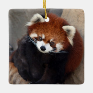 Ornamento rojo panda