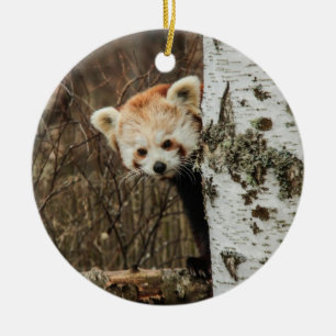 Ornamento rojo panda