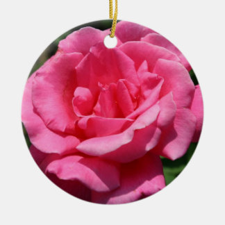 Ornamento rosa