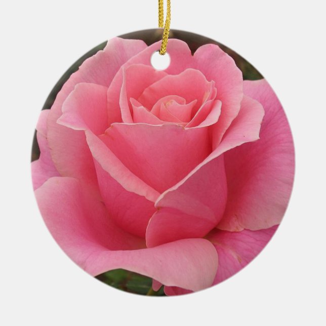 Ornamento rosa (Frente)